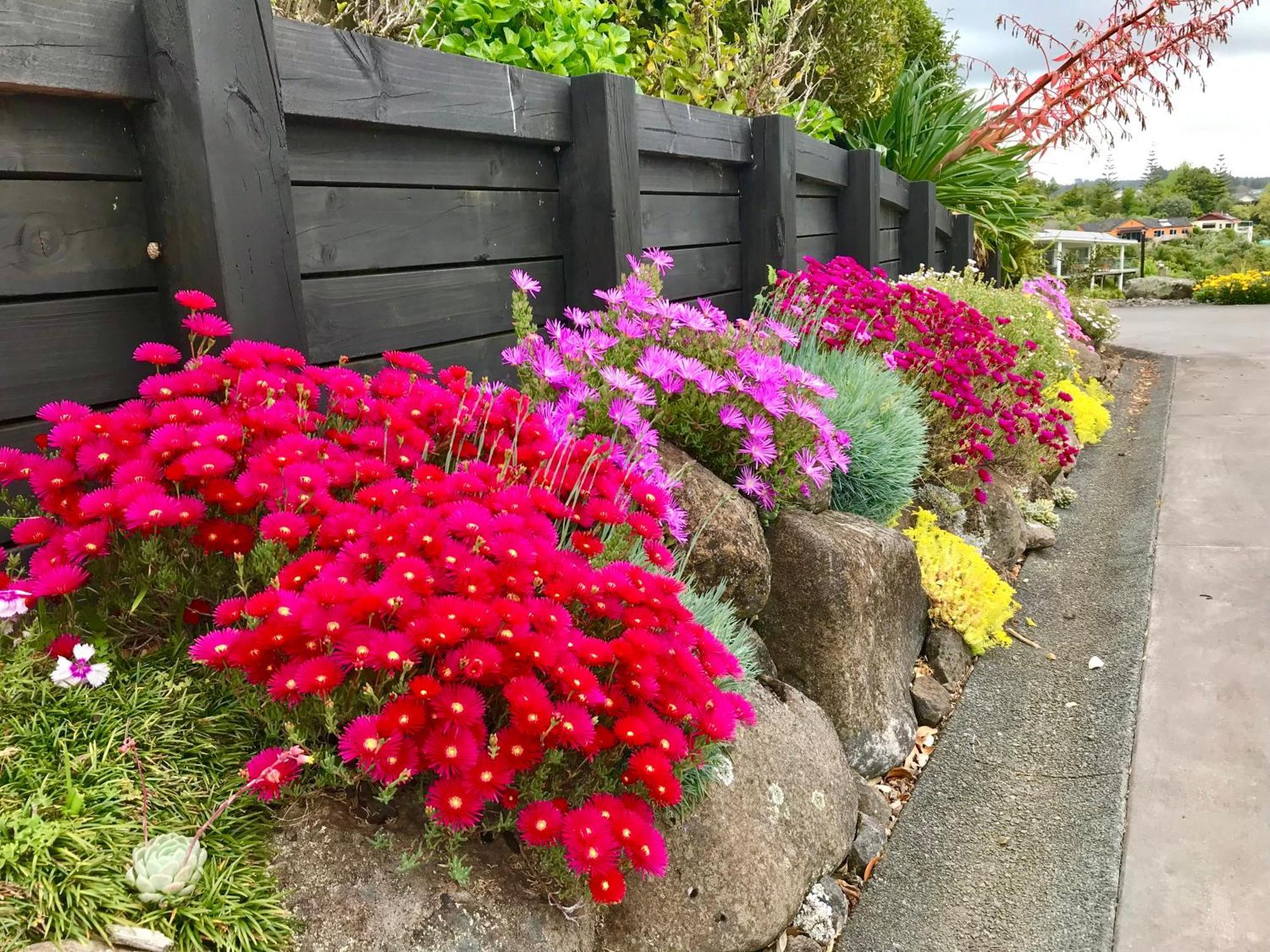 Sunset Point Kerikeri Apartman Kültér fotó
